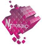  NSmosaic - NS mosaic, 